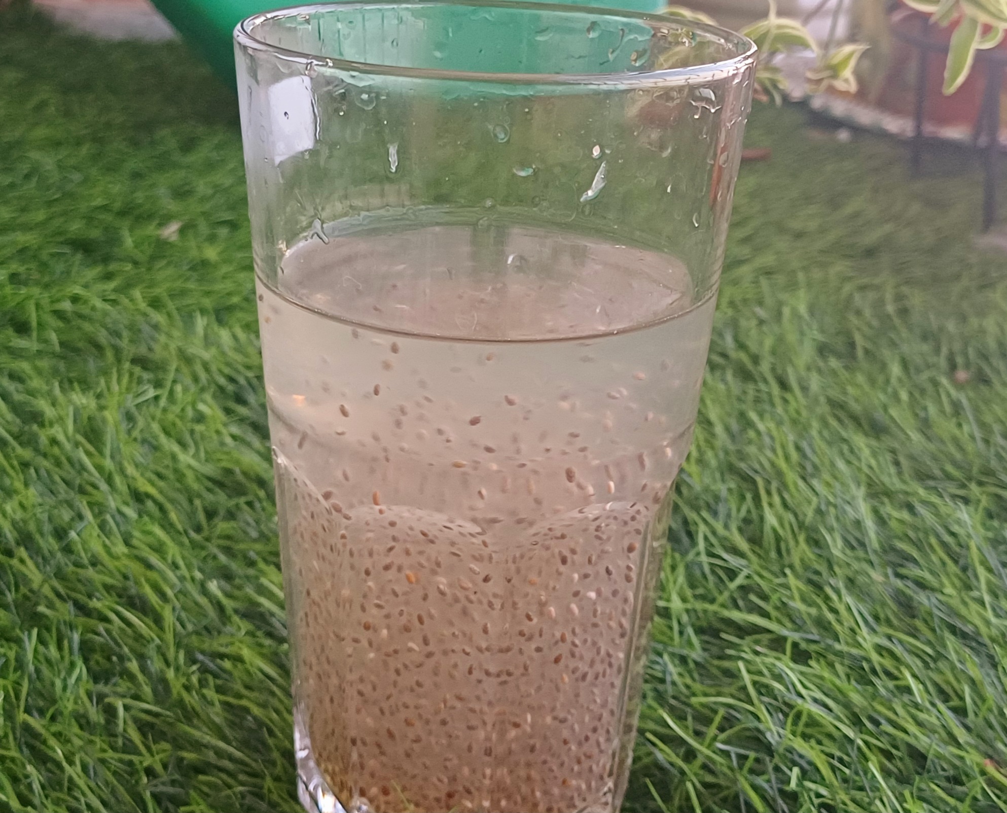 Chia Seeds Drink